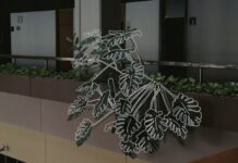 Dokumentarci u programu Jesenjarenja