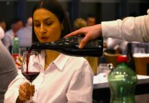 NAJAVA Wine VIP Eventi nastavljaju tradiciju i u 2025.