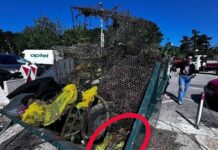 Članovi PŠRD Arbun jučer iz podmorja čupali i periske i tako počinili kazneno djelo!