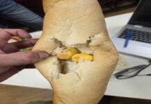 Diler u Metkoviću sakrio heroin u štrucu kruha