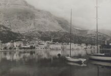 ESEJ O POLITIČKOM KARCINOMU JEDNOG GRADA (4): Revolucija