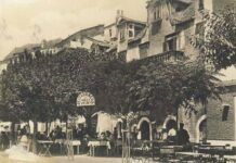 ESEJ O POLITIČKOM KARCINOMU JEDNOG GRADA (3): Infekcija