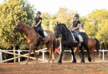 Valamar poklanja 100 ljetnih kampova za djecu