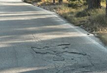 FOTO KRITIKA Gradonačelniče Paunović, uložite malo u cestu prema Velikom Brdu