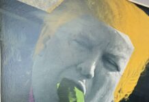 Središnja figura okupljanja: Lider bez ideje i inicijative?