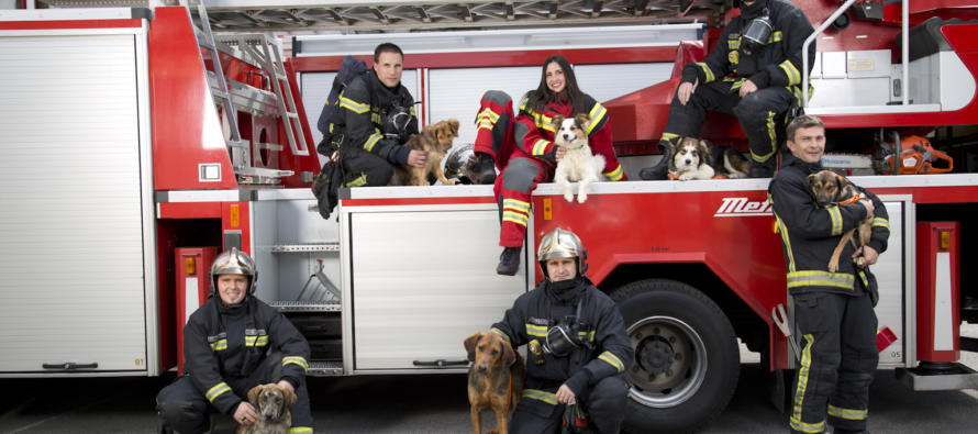 vatrogasci_foto-Ana-Mihalic-2-890x395_c