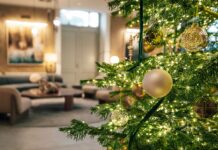 Hyatt Regency Zadar najavljuje bogatu blagdansku sezonu