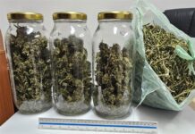 Pretragom kuće u Pločama pronađena marihuana