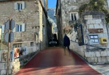 FOTO Zapeo kamiončić na Putu Makra -nastao totalni kolaps!