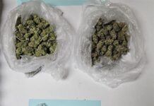 Uhićena djevojka (24) u stanu u Makarskoj skrivala drogu