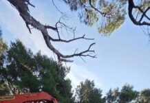 Makarski Komunalac uklonio nelegalni štekat na putu prema Cvitačkoj