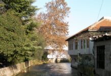 Franjo Cvitković piše gradonačelniku Mostara: Gradnja obilaznice predstavlja urbicid!