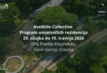 Poziv na javni play test projekta AveNido Collective