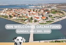 Nin dočekuje dalmatinske pse u nedjelju 3.svibnja