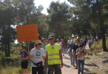 Zna li Siniša Hajdaš Dončič što Paunović radi na makarskoj Osejavi?