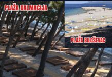Zašto Paunovićeva administracija dopušta uzurpaciju plaža Dalmacija i Biloševac?