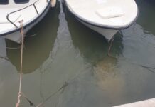FOTO Makarska luka opet preplavljena fekalijama!