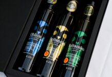 MED&TERRA ŠOLTA – Festival meda, ulja i vina: Gastronomska priča koju vrijedi okusiti