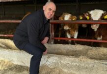 J. Dabro: S istinom je teško spavati, pogotovo Mariu Radiću – agentu s Batajnice