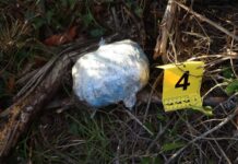 Policija kod Makarske uhitila Bosanca sa 1,75 kilograma marihuane