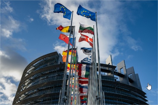 europski parlament - Google pretraživanje - Google Chrome