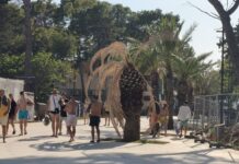 Makarska zelena agenda: drveće umire, ali su barem pločice preživjele