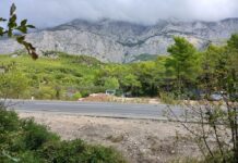 PISMO ČITATELJICE Zaustavite nezakonito nasipavanje posječene šume u Makarskoj!
