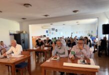 Tri sestre, jedan punac i demokracija po potrebi
