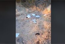 VIDEO KRITIKA Mnoštvo vjernika u Vepricu vrše nuždu u okolnom grmlju!